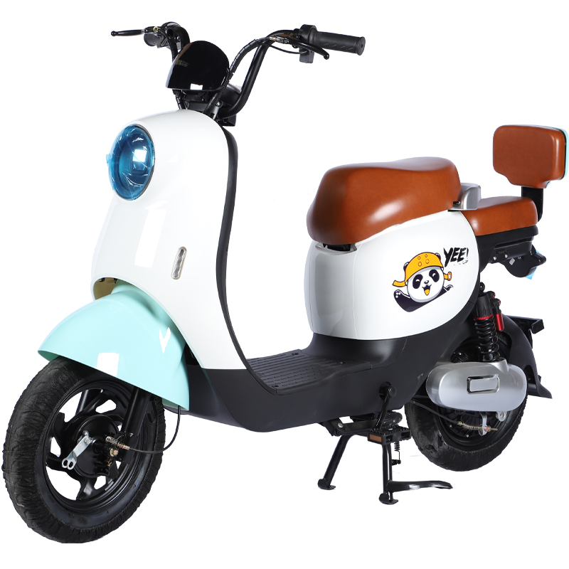 Electric Bike C6