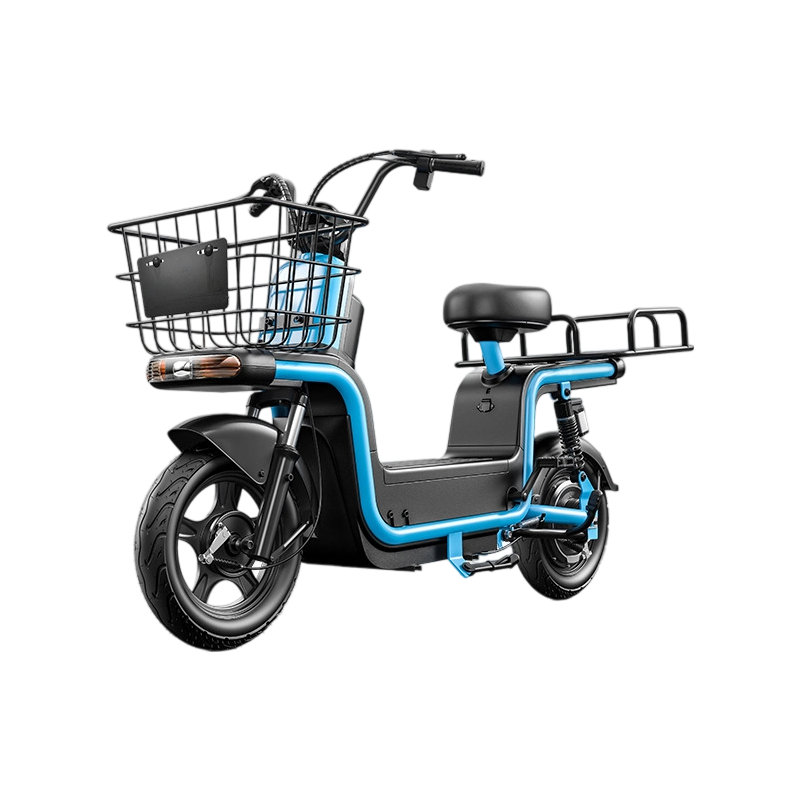 Electric Bike Takeaway car