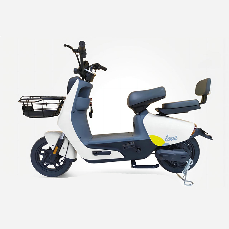 Electric Bike Aidou