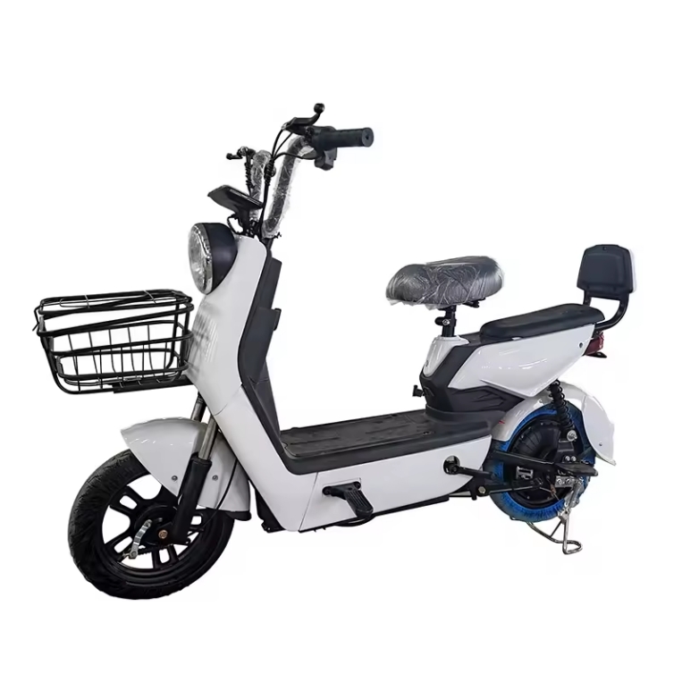 Electric Bike Zhangduo