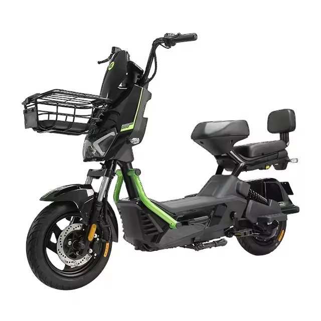 Electric Bike R1