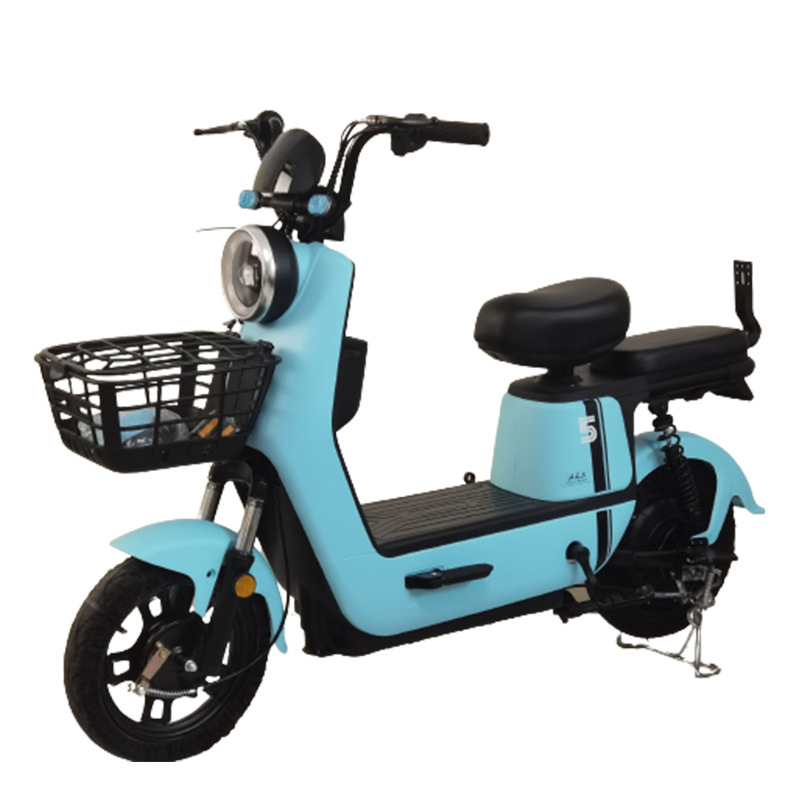 Electric Bike Saihu