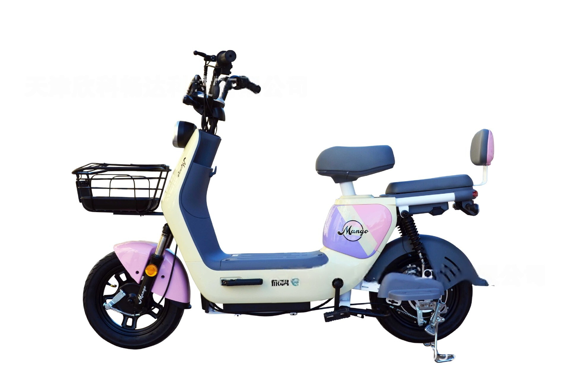 Electric Bike Chocolate