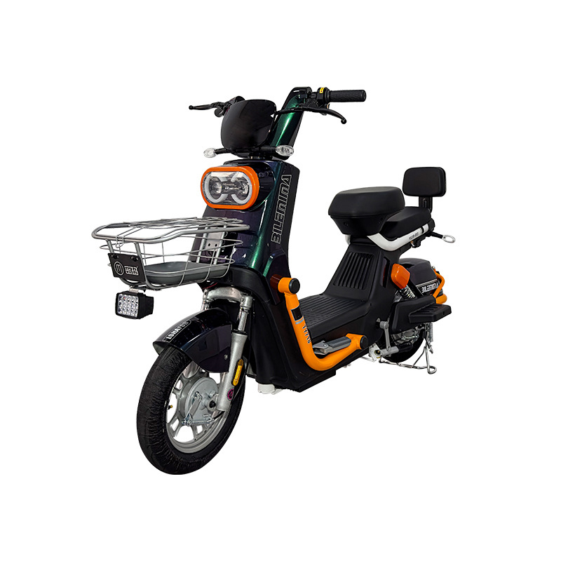 Electric Bike East wind 17
