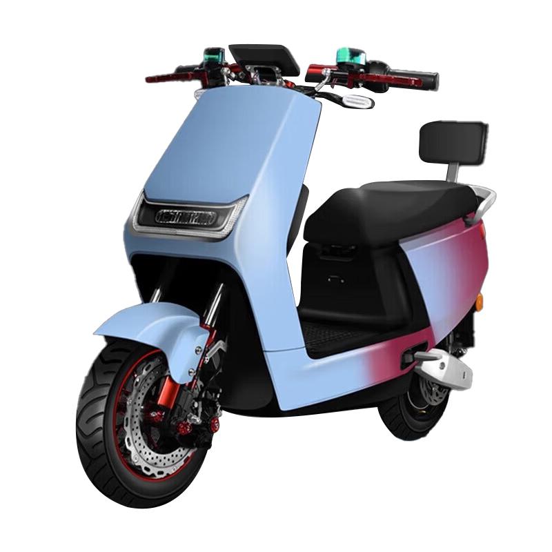 Electric Motorcycle TM cattle