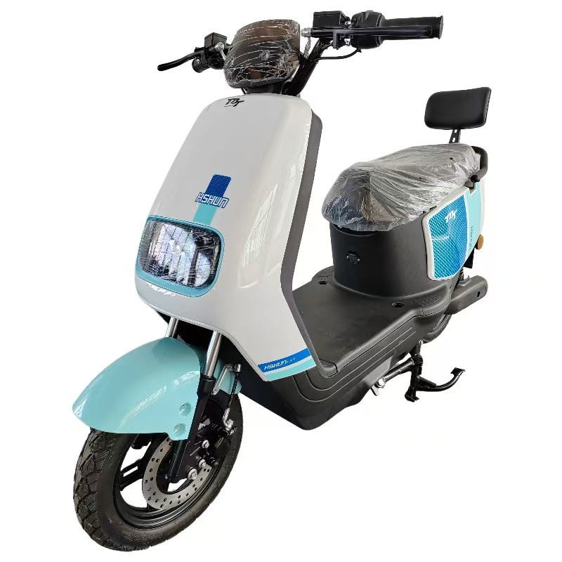 Electric Motorcycle N1