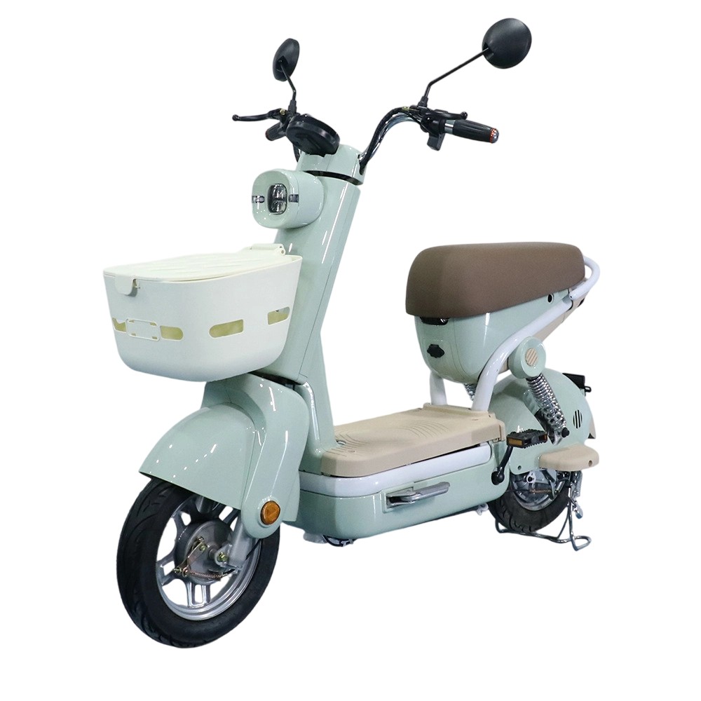 Electric Bike LeNingPro