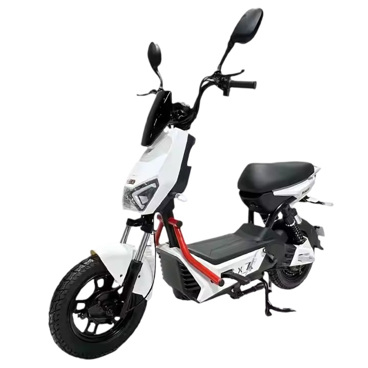 Electric Bike R3