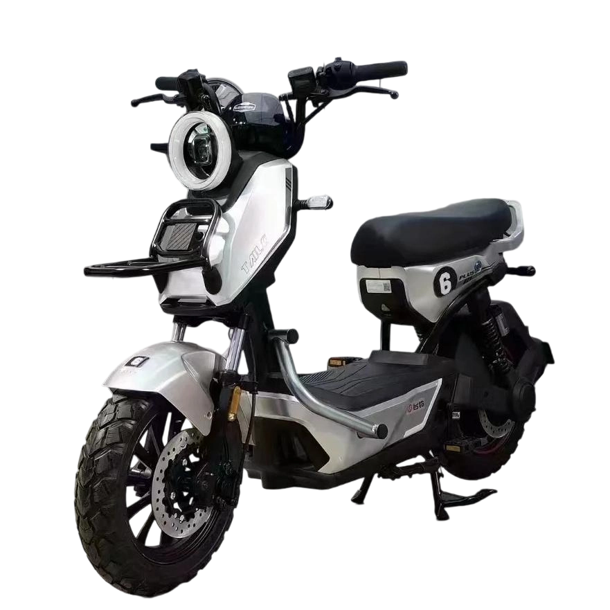Electric Bike R3