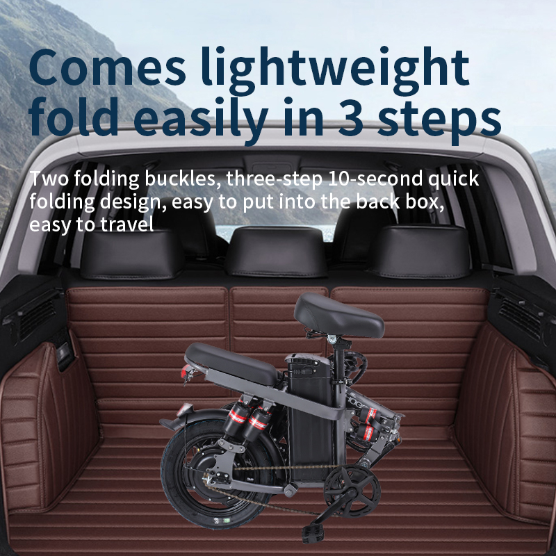 Folding electric bike F12