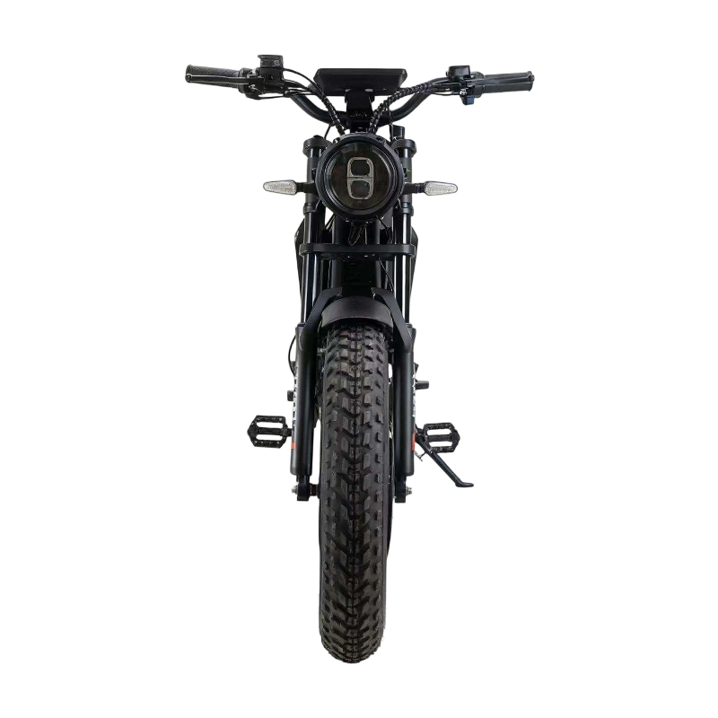 Folding electric bike Black Knight