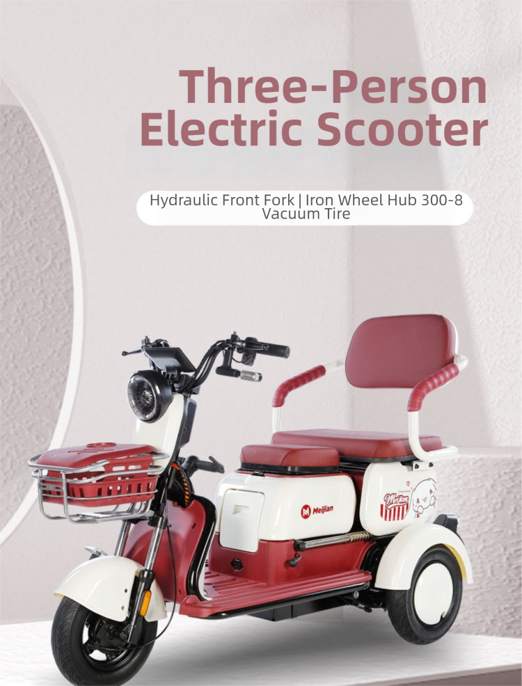Electric Tricycle NEW X3